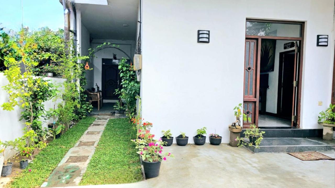 Aloe Vera Villa Негомбо Экстерьер фото
